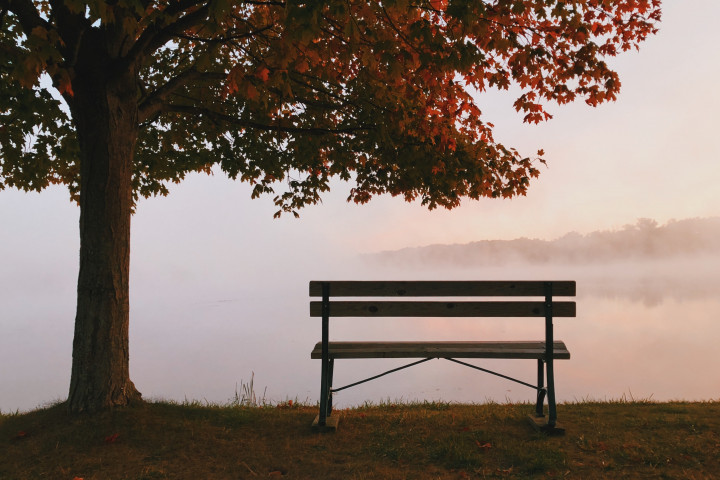 Bench by a foggy pond
