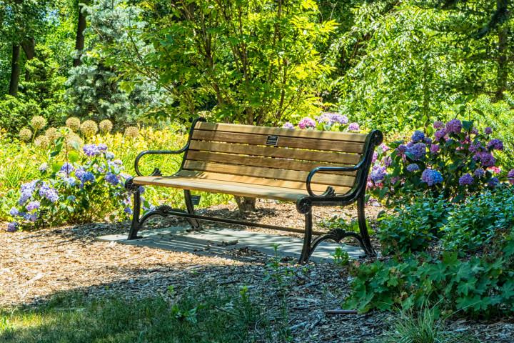 Park bench